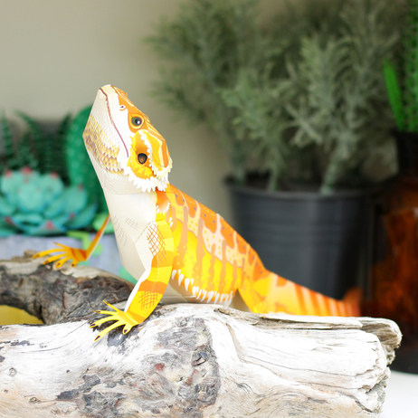 小动物蜥蜴鬃狮蜥鬃蜥3d立体纸模型diy手工制作儿童益智折纸玩具