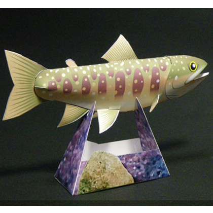 仿真淡水鱼生物鳟鱼3d立体纸模型diy手工制作儿童折纸益智玩具