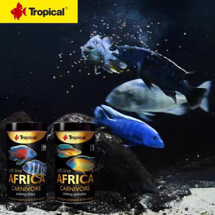 Tropical卓必客非洲素肉食软粮三湖鱼马坦慈鲷鱼粮饲料卓比克