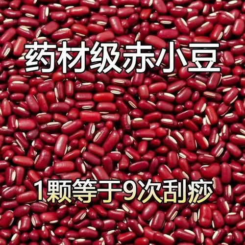东北赤小豆红豆搭薏米水茯苓芡实