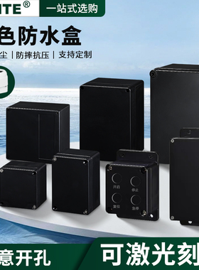 新料户外塑料防水接线盒端子 黑色ABS分线监控设备密封埋地按钮盒