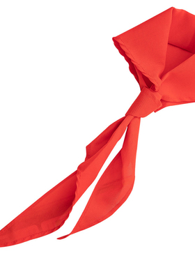 得力50552_1米纯棉红领巾(红色)(条)儿童小学生通用