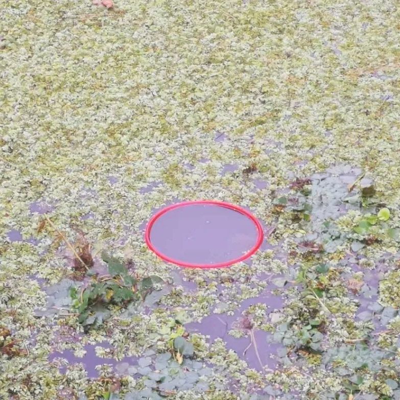 钓鱼挡浮萍浮水圈隔离挡水草