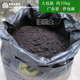 优质泥炭土 园林绿化用土 阳台庭院种花种菜腐叶土沃土草炭土黑土