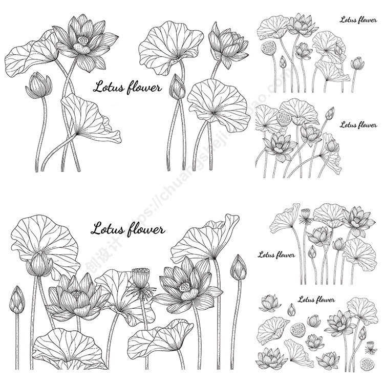 手绘莲花插画 线描荷花荷叶花苞莲蓬线稿 ai格式矢量设计素材