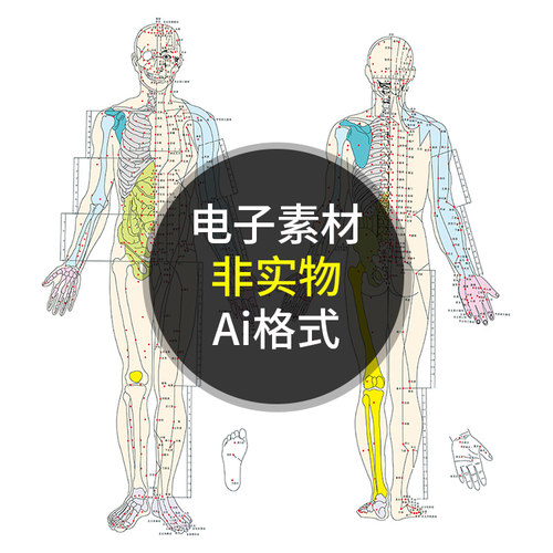 经络穴位图 中医针灸全身经络穴位参照图 AI格式矢量设计素材