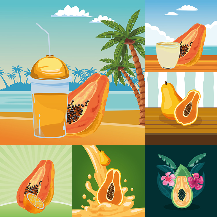 木瓜插画 夏季水果成熟果实果汁海报背景 AI格式矢量设计素材