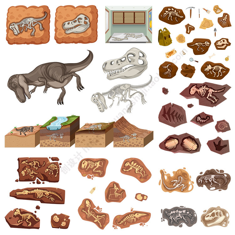 卡通恐龙化石插画 考古动物身体骨骼形态图标 ai格式矢量设计素材