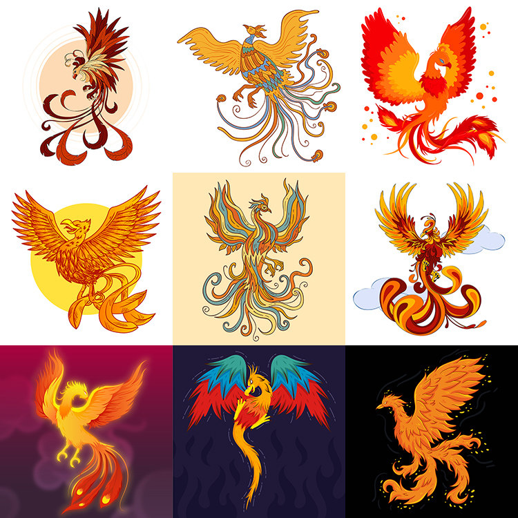 手绘凤凰 9款卡通吉祥凤浴火重生凤凰海报 ai格式矢量设计素材