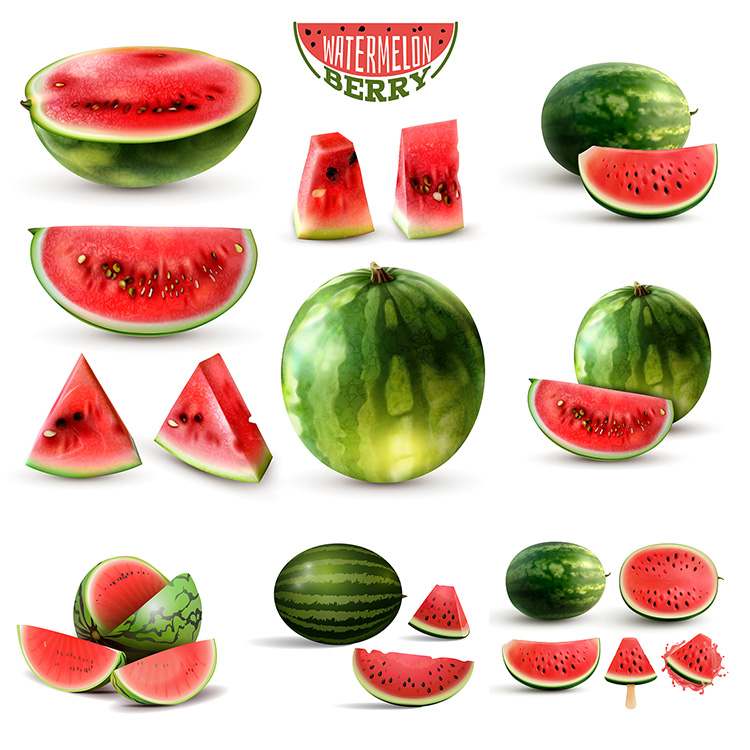 逼真西瓜AI矢量素材 写实石头瓜麒麟瓜黑美人水果西瓜子 设计素材