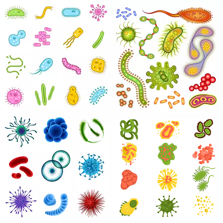 细胞样本 生物研究病毒细菌核体结构元素插画 AI格式矢量设计素材