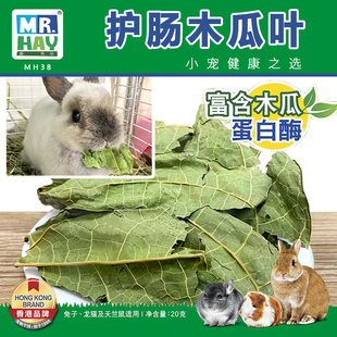 草先生 兔子龙猫天竺鼠消化零食木瓜叶调节肠道MH38 护肠木瓜叶