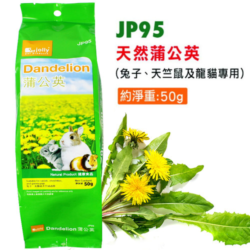 jolly天然蒲公英50g降火荷兰猪