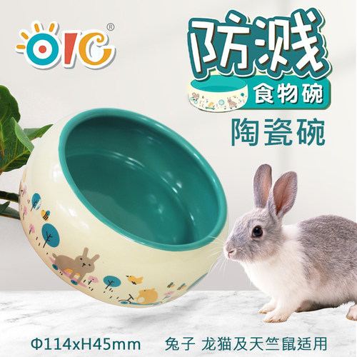 兔子陶瓷食盆防溅天竺鼠