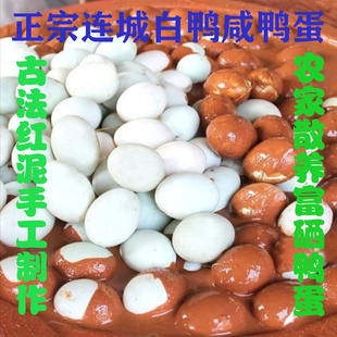 正宗福建连城白鹜鸭连城白鸭农家散养土鸭活鸭流油咸鸭蛋即食送礼