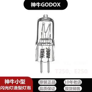 神牛75W造型灯泡适用ST250W/E250W/160W闪光灯造型灯泡拍照定位