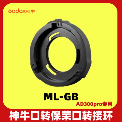 Godox神牛ML100BiAD300AD400PRO