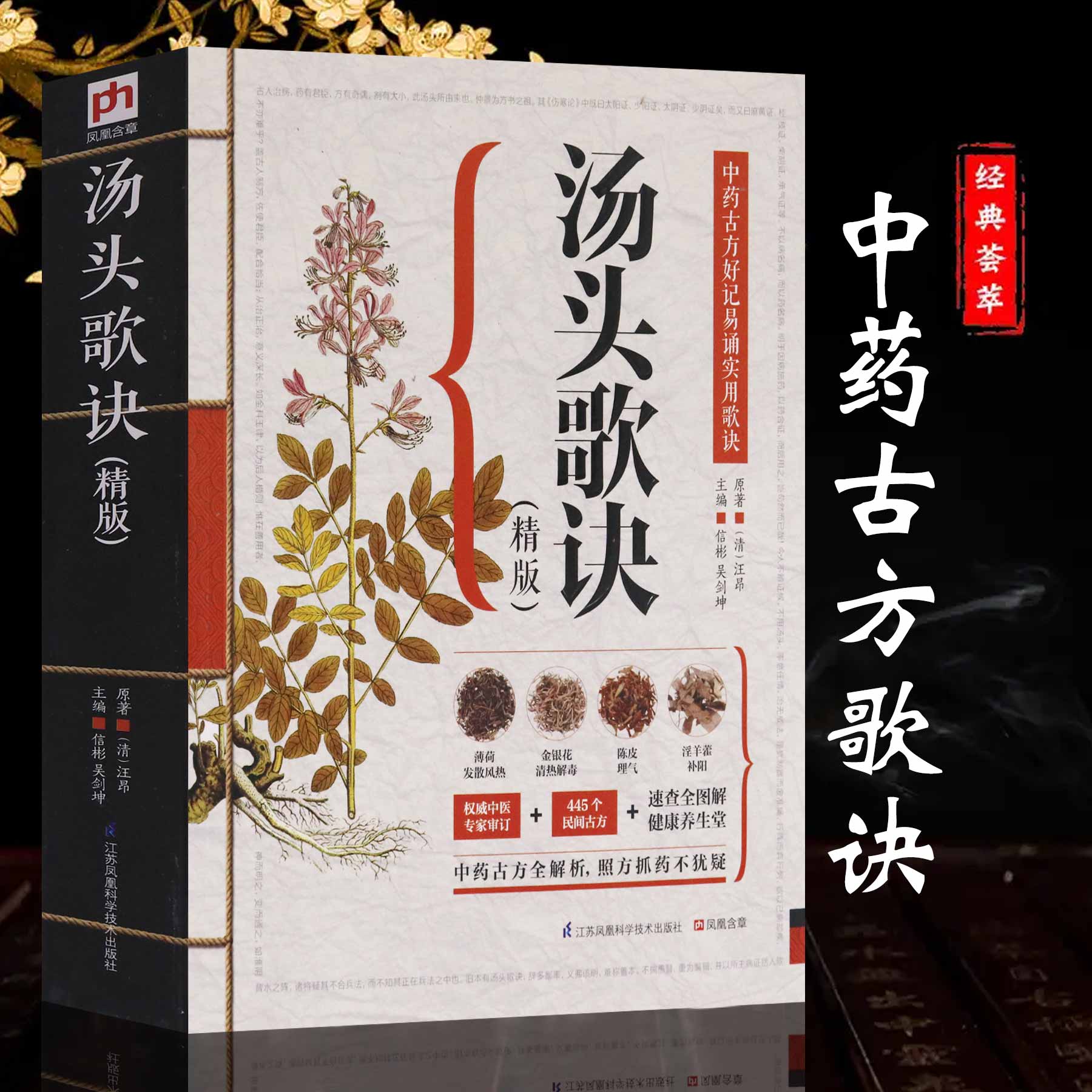 汤头歌诀正版 白话解全书详解图解 中药配方精版 中医名著入门 养生偏方大全书籍旧书汉金书局 汤头歌诀白话解人民卫生出版社
