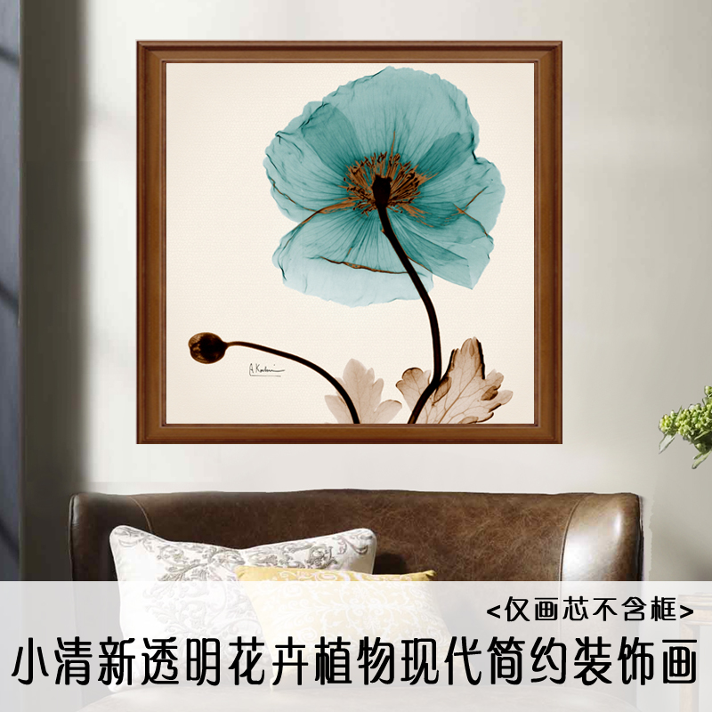 现代简约小清新透明植物花卉客厅玄关卧室装饰画画芯定制微喷打印图片