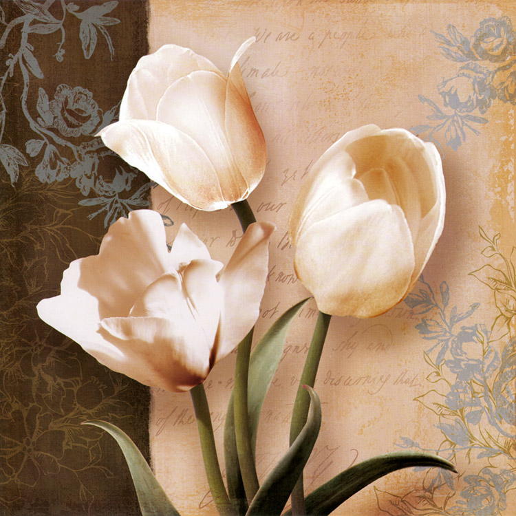 白色玫瑰花美式花卉 装饰画芯客厅卧室 装饰画画心卡纸画芯图片
