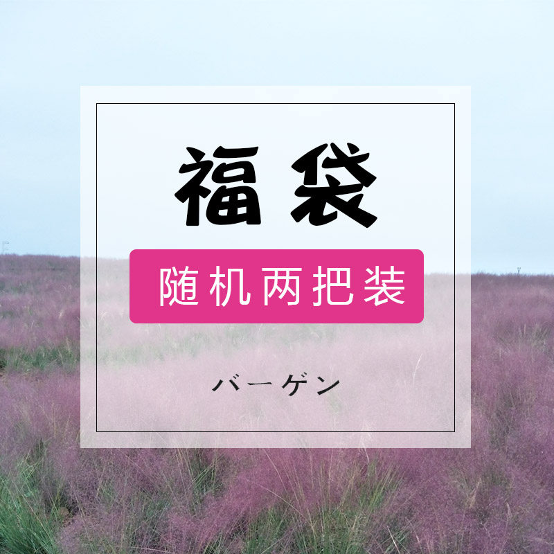 雨伞福袋内含2伞~款式随机拼人品~ 弹子挂锁隆颏术两栖战~