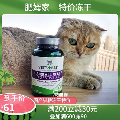 去毛球尿结石绿十字猫