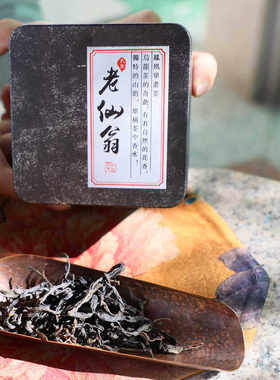 凤凰茶老仙翁醉翁之意在单丛 稀有高端古茶品种 黄枝香型乌龙茶