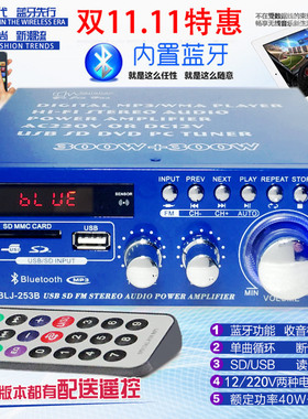 迷你小型功放机音箱功率放大 插卡U盘收音直流12伏220V蓝牙功放
