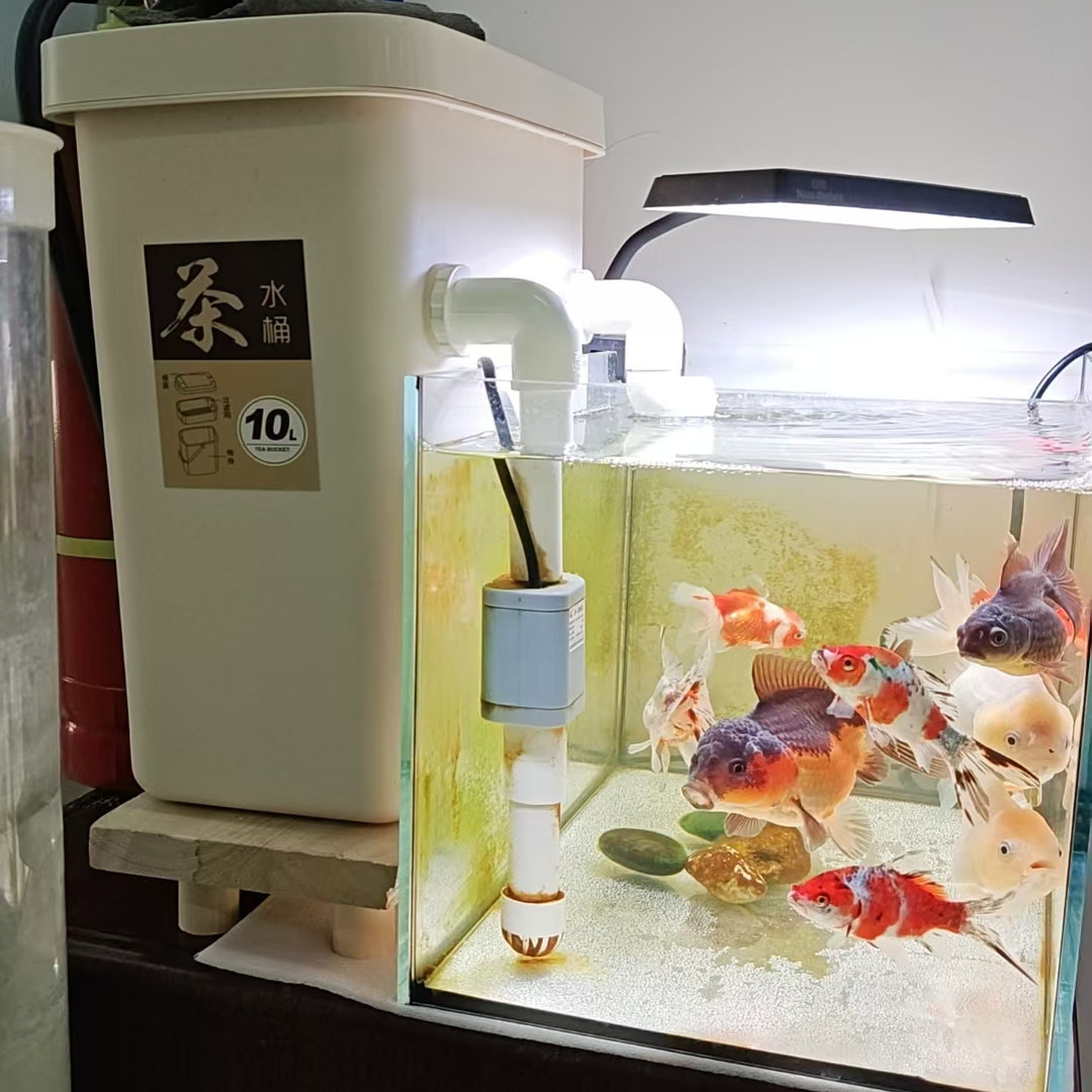 内置茶水桶过滤鱼缸龟缸过滤家用图片