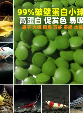 小球藻片黄金胡子大帆异形鱼底栖鱼颗粒饲料虾粮高蛋白小球藻鱼食