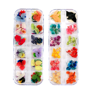 巧巧diy滴胶 12格装饰干花 满天星 紫阳花 五瓣花 小雏菊干花真花