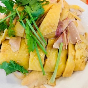 上海老字号美食 振鼎鸡白斩鸡三黄鸡本帮特色熟食 顺丰真空发货