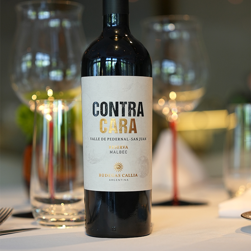 阿根廷火石山谷圣胡安干红葡萄酒