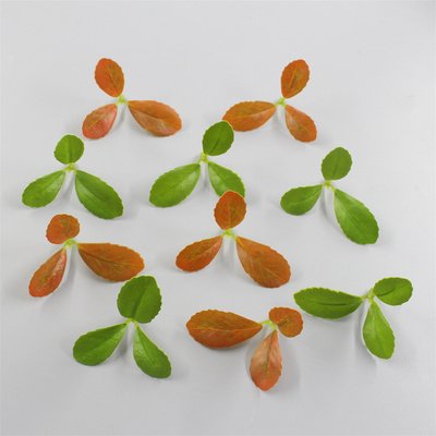 海岛春花仿真绿植树枝插花叶