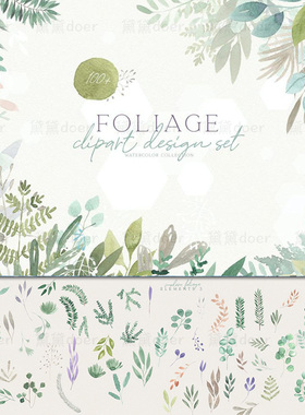 水彩手绘自然清新风绿色植物杉树棕榈桉树叶枝条插画PNG图片素材