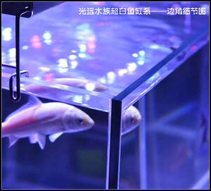 光远 超白鱼缸私人定制 金晶超白玻璃C 草缸 海水缸 包邮厂家直销