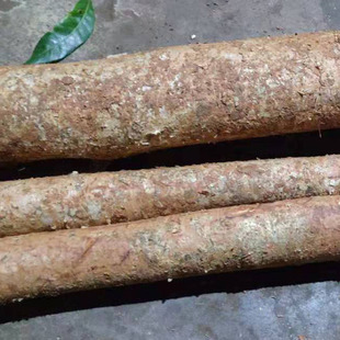 新鲜乌榄根乌榄树根黑橄榄树根乌橄榄根 黑榄根现挖整段