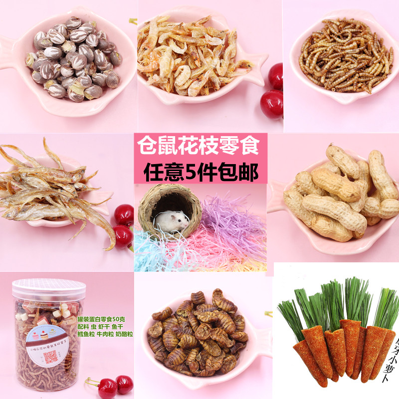 仓鼠金丝熊粮食零食坦克虫面包虫