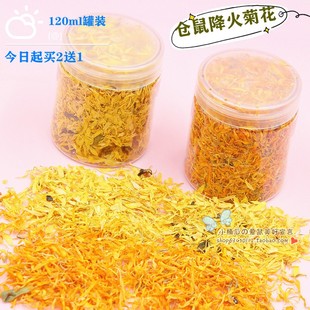 仓鼠降火零食菊花金盏菊花瓣罐装 120ml买2送1花枝金丝熊粮食伴侣