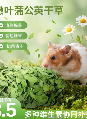 馨怡仓鼠清热蒲公英草