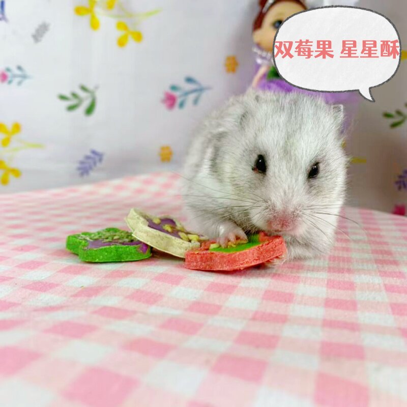 仓鼠零食双莓果星星酥蔓越莓蓝莓口味草本奶酪花枝金丝熊躺手神器,宠物/宠物食品及用品,鼠类零食,淘宝优惠券,粉丝福利购,淘宝优惠卷