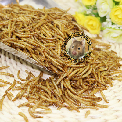 面包虫干包邮买3送1仓鼠刺猬零食龟粮鱼食鱼粮鸟食仓鼠粮食