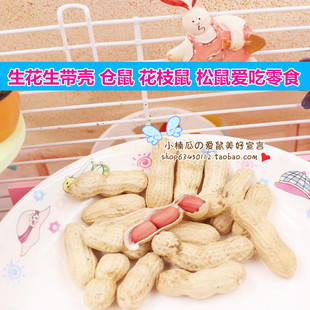 松鼠粮食零食带壳生花生50克 买5送1仓鼠金丝熊磨牙主粮零食
