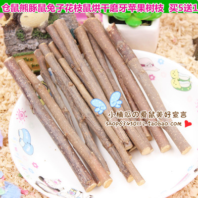 苹果树枝磨牙树枝仓鼠兔子龙猫