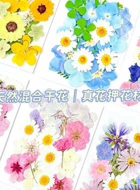干花DIY滴胶书签相框材料