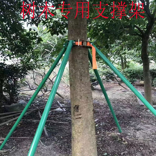 树木支撑固定器镀锌钢管