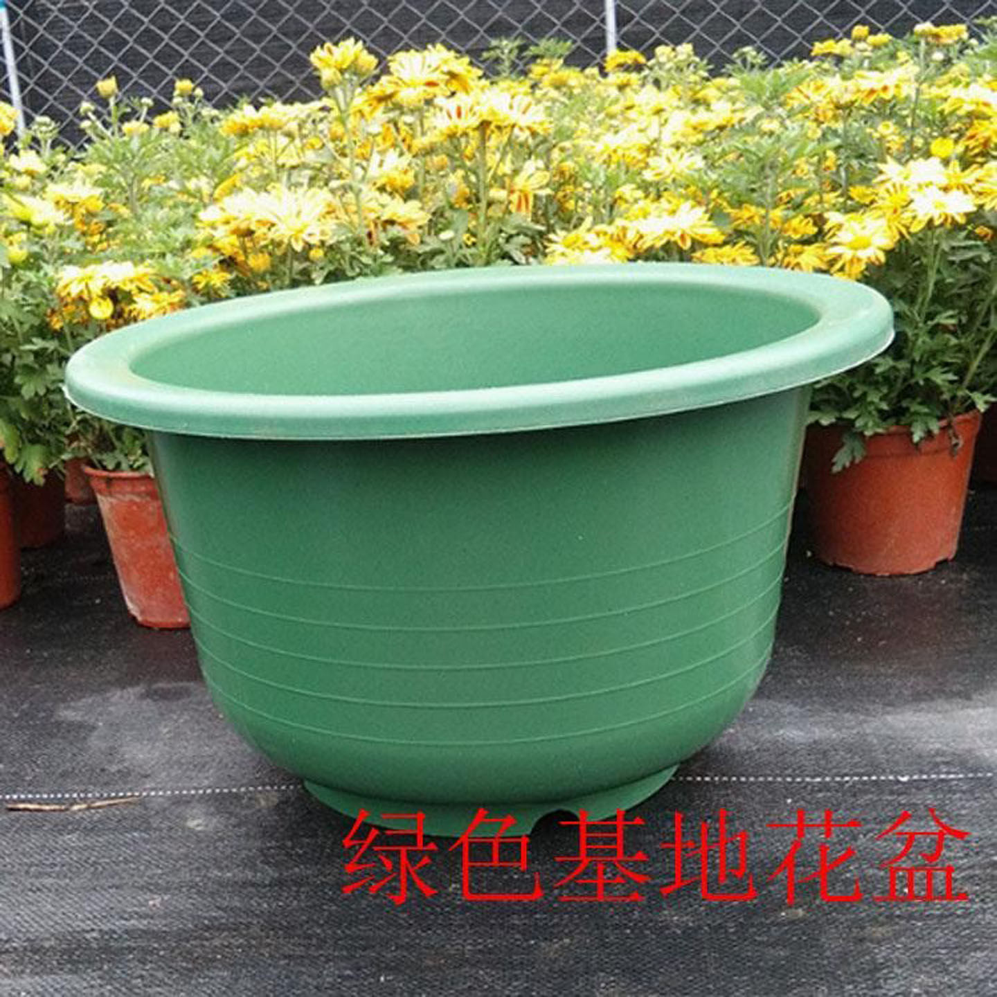 塑料PP料花盆圆形大号特大基坑