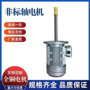 YE3 2800转定做非标轴 YS三相异步电机长轴电机非标电机1400