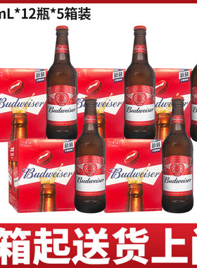 【5箱价】百威啤酒玻璃瓶580ml*12瓶整箱装包邮