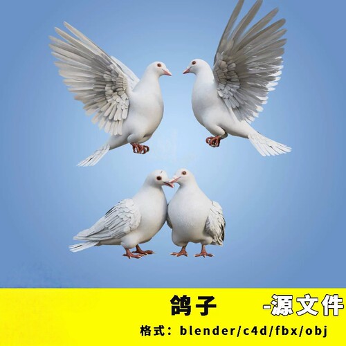 和平鸽三维模型3d素材blender/c4d/fbx/obj动物白鸽子带羽毛